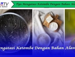 Cara Mengatasi Ketombe Dengan Bahan Alami