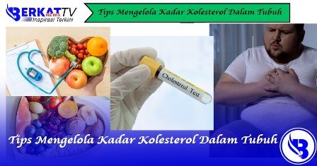 Tips Mengelola Kadar Kolesterol Dalam Tubuh