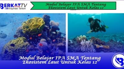 Modul Belajar IPA SMA Tentang Ekosistem Laut Untuk Kelas 12