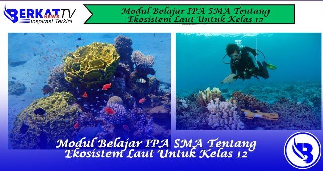 Modul Belajar IPA SMA Tentang Ekosistem Laut Untuk Kelas 12