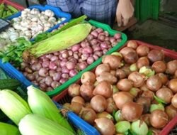 Musim Kemarau Harga Sayuran Naik