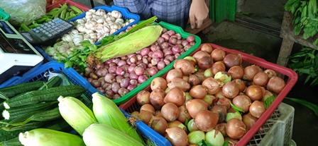 Memasuki musim kemarau, harga sayur mayur di pasar tradisional yang ada di Sanggau mengalami kenaikan.