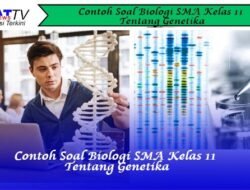 Contoh Soal Biologi SMA Kelas 11 Tentang Genetika