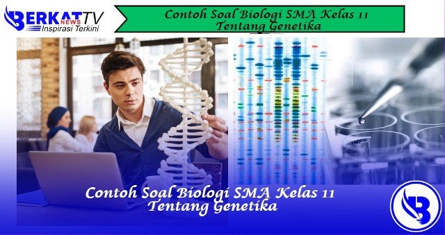 Contoh Soal Biologi SMA Kelas 11 Tentang Genetika