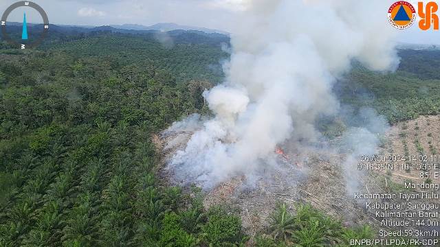 . Satgas Bencana Provinsi Kalbar menemukan karhutla di lahan konsesi perusahaan perkebunan sawit di Mandong Kecamatan Tayan Hulu Kabupaten Sanggau serta Kecamatan Benua Kayong dan Tumbang Titi di Kabupaten Ketapang. Temuan itu saat helikopter Bell 206 PK-CDP melakukan patroli, Senin (26/8) pagi di wilayah tersebut. Foto: BPBD Kalbar/tmB