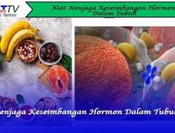 Kiat Menjaga Keseimbangan Hormon Dalam Tubuh
