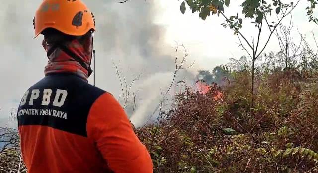 Petugas sedang memadamkan karhutla di Kubu Raya. Namun dikarenakan terjadinya hujan beberapa hari, hotspot di Kubu Raya turun 41 persen