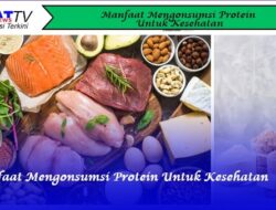 Manfaat Mengonsumsi Protein Untuk Kesehatan