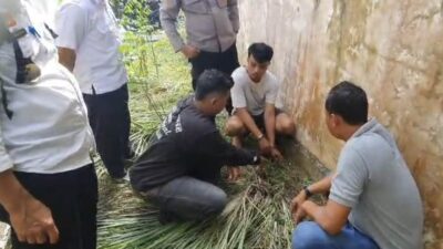 Polisi Tangkap Dua Pengedar Sabu di Sekayam