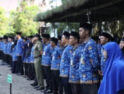 Penerimaan CPNS di Pontianak Tahun 2024 Berjumah 388 Orang