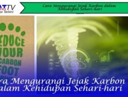 Cara Mengurangi Jejak Karbon dalam Kehidupan Sehari-hari