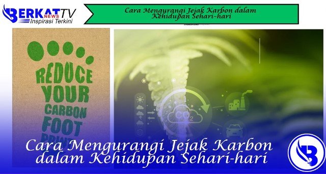 Cara Mengurangi Jejak Karbon dalam Kehidupan Sehari-hari
