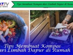 Tips Membuat Kompos dari Limbah Dapur di Rumah
