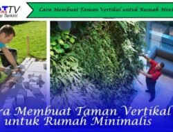 Cara Membuat Taman Vertikal untuk Rumah Minimalis