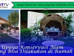 Upaya Konservasi Alam yang Bisa Dilakukan di Rumah