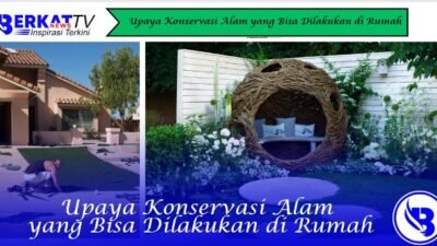 Upaya Konservasi Alam yang Bisa Dilakukan di Rumah