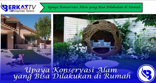 Upaya Konservasi Alam yang Bisa Dilakukan di Rumah