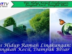 Tips Hidup Ramah Lingkungan: Langkah Kecil, Dampak Besar
