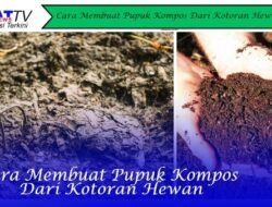 Cara Membuat Pupuk Kompos Dari Kotoran Hewan
