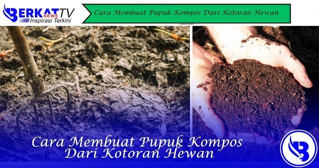 Cara Membuat Pupuk Kompos Dari Kotoran Hewan