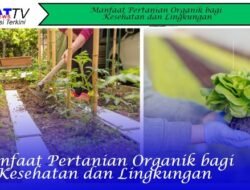 Manfaat Pertanian Organik bagi Kesehatan dan Lingkungan