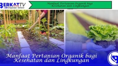 Manfaat Pertanian Organik bagi Kesehatan dan Lingkungan