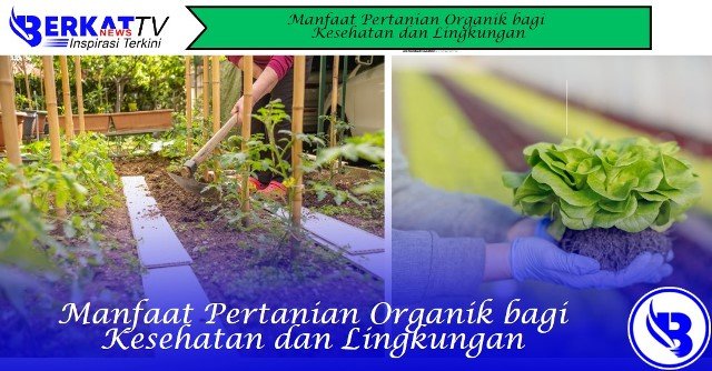 Manfaat Pertanian Organik bagi Kesehatan dan Lingkungan