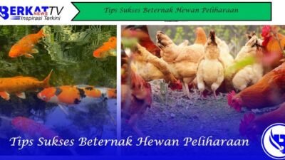 Tips Sukses Beternak Hewan Peliharaan
