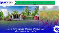 Cara Memulai Usaha Pertanian di Lahan Terbatas