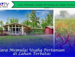 Cara Memulai Usaha Pertanian di Lahan Terbatas