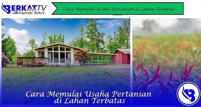 Cara Memulai Usaha Pertanian di Lahan Terbatas