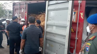 Bermoduskan Kelapa, 8 Kontainer Rotan Ilegal akan Diselundupkan ke Cina