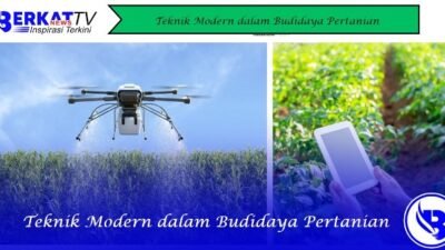 Teknik Modern dalam Budidaya Pertanian