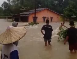 Banjir Bandang Terjang Dua Desa di Tayan Hulu