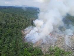Disbunak Sanggau Bantah Karhutla di Lahan Konsesi