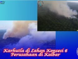 Karhutla Terindikasi di Lahan Konsesi 6 Perusahaan di Sanggau dan Ketapang