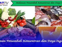 Makanan Penambah Konsentrasi dan Daya Ingat