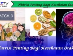 Nutrisi Penting Bagi Kesehatan Otak