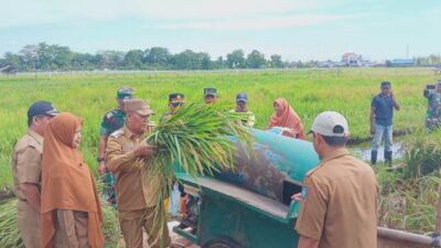 Mampu Berevolusi, Gapoktan Pilih Padi Mekongga