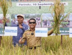 Panen Padi Upaya Tekan Inflasi Daerah