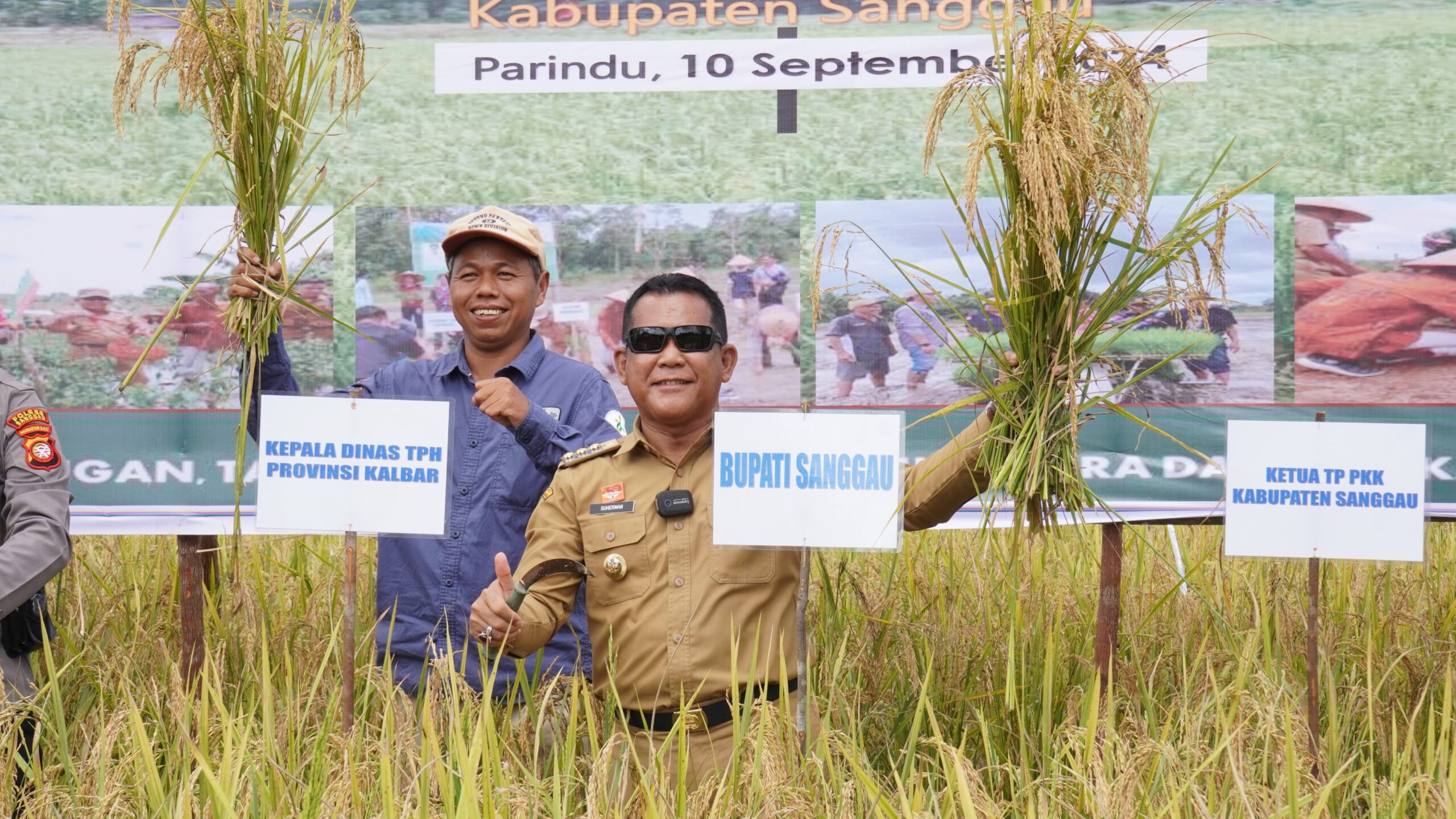 Panen Padi Upaya Tekan Inflasi Daerah