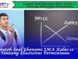 Contoh Soal Ekonomi SMA Kelas 11 tentang Elastisitas Permintaan