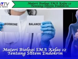 Materi Biologi SMA Kelas 12 tentang Sistem Endokrin