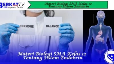 Materi Biologi SMA Kelas 12 tentang Sistem Endokrin