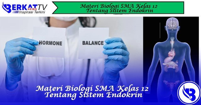 Materi Biologi SMA Kelas 12 tentang Sistem Endokrin