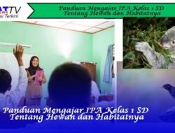 Panduan Mengajar IPA Kelas 1 SD Tentang Hewan dan Habitatnya