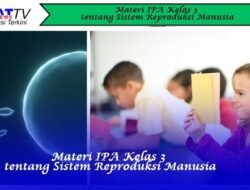 Materi IPA Kelas 3 tentang Sistem Reproduksi Manusia