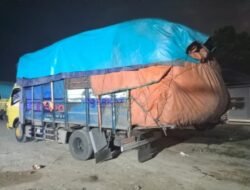 Truk Bawa Rotan dari Kalteng Diduga akan Diselundupkan ke Malaysia Lewat Jagoi Babang