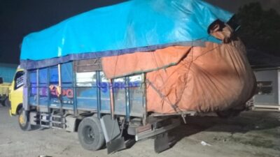 Enam truk membawa muatan rotan diduga akan diselundupkan ke Malaysia terpantau di kawasan Trans Kalimantan Kecamatan Sui Ambawang Kabupaten Kubu Raya pada Selasa (17/9) malam. Foto: tmB