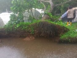 Relawan PMI Meninggal Dunia Ditimpa Pohon